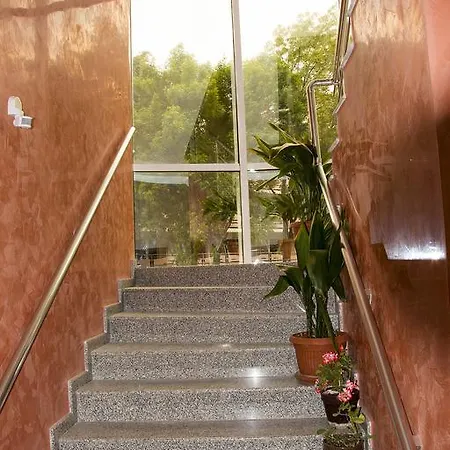 семеен малина